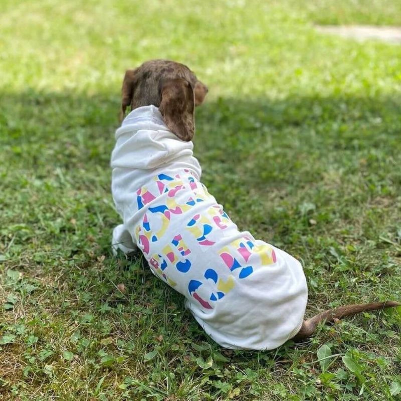 dachshund space shop dachshudnspace aspc dog hoodie