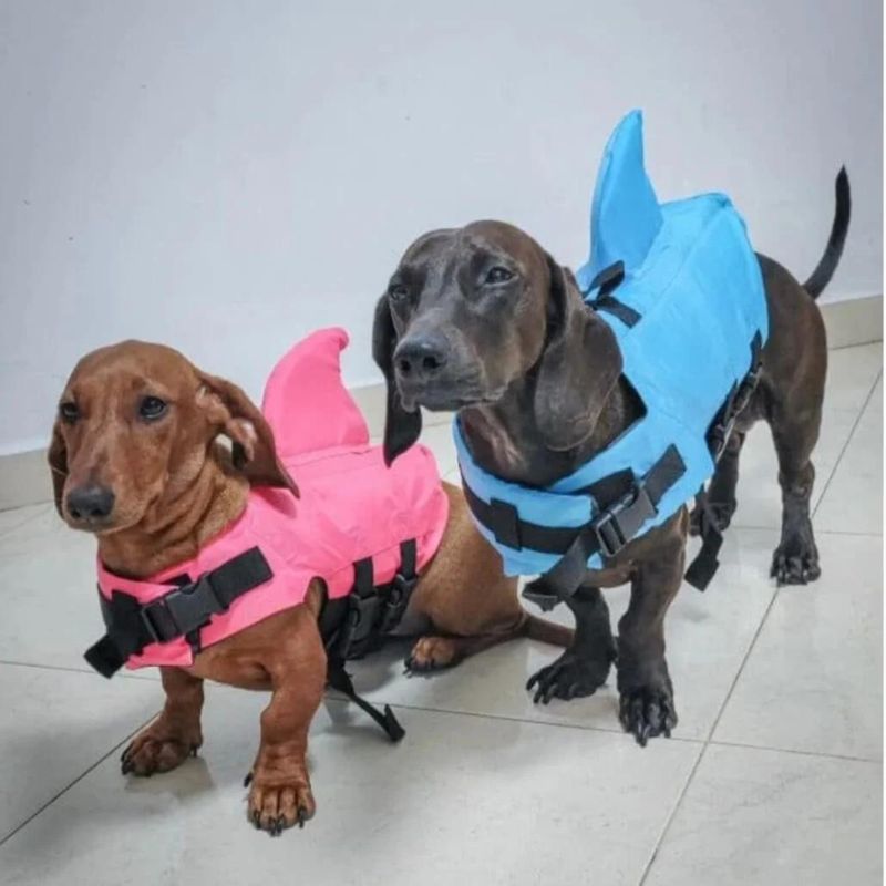 dachshund space shop dachshund shark vest