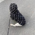 dachshund space shop chewy v shaggy dog hoodie black