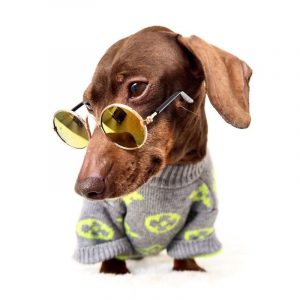 dachshund space shop chewy v sweater