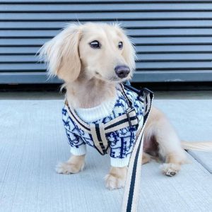 dachshund space shop dogior sweater