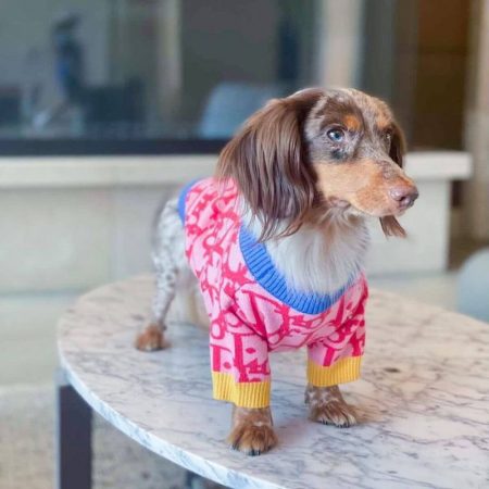 dachshund space shop dogior pink sweater