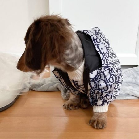 dachshund space shop dogior windbreaker