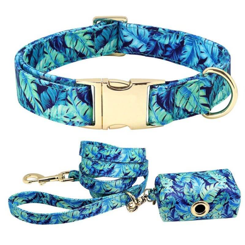 dachshund space shop floral leash collar bag