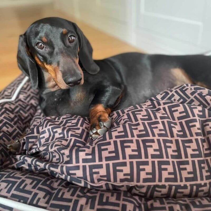 dachshund space shop fur baby bed