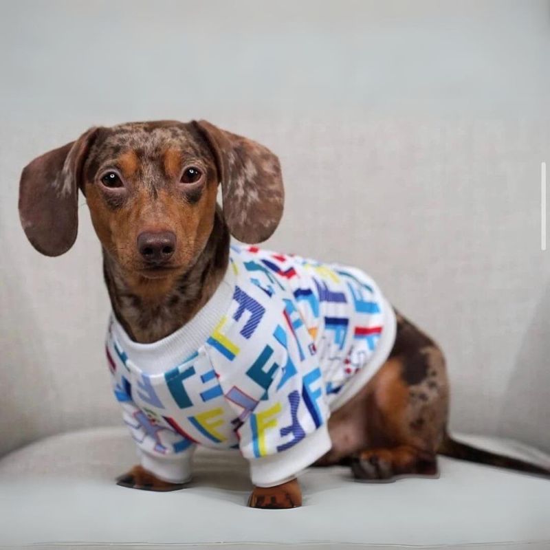 dachshund space shop fur baby multi color shirt