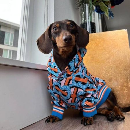 dachshund space shop the thug life hoodie