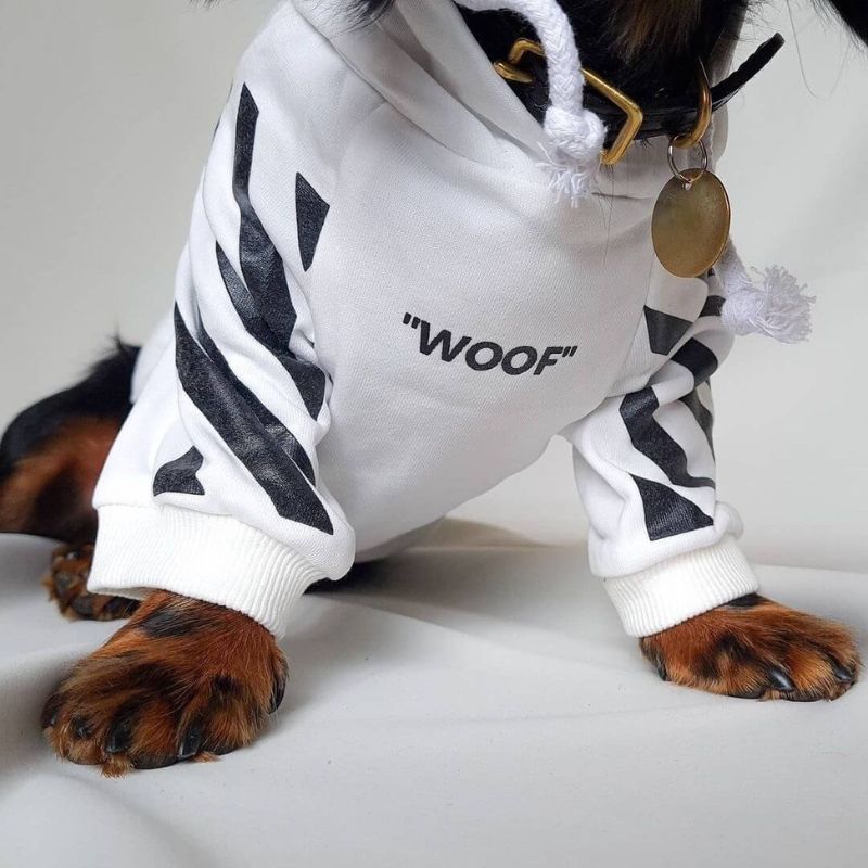 dachshund space shop woof hoodies