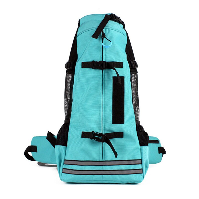 dachshund space dachshund backpack