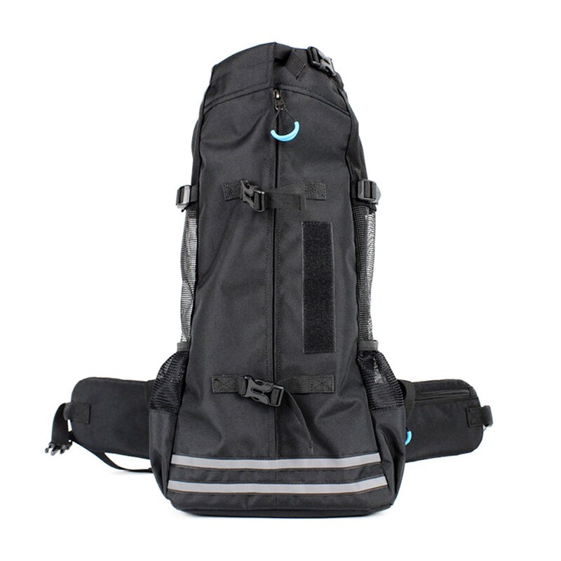 dachshund space dachshund backpack