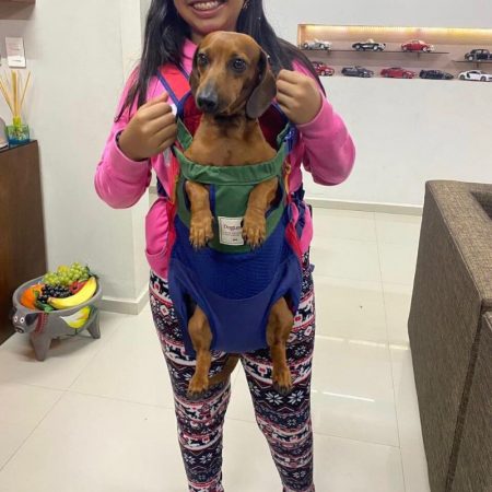dachshund space dachshund outdoor backpack
