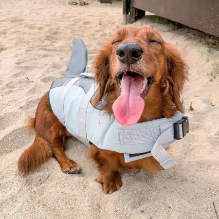 dachshund space mermaid shark life jackets