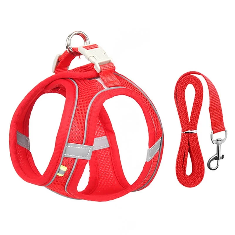 dachshund space reflective harness leash