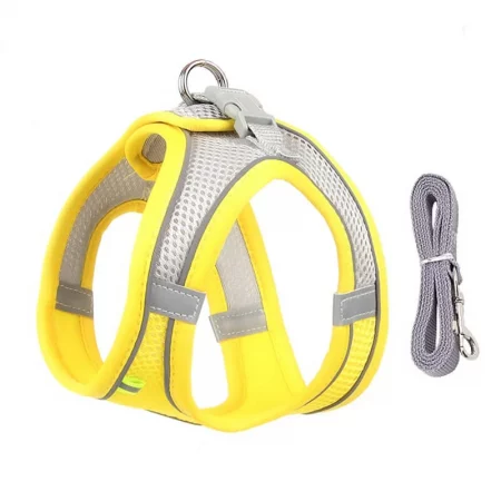 dachshund space reflective harness leash