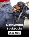 dachshund space shop banner