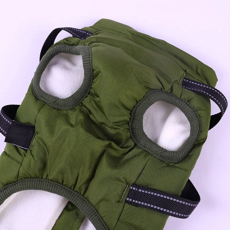 dachshund space shop winter waterproof harness jacket
