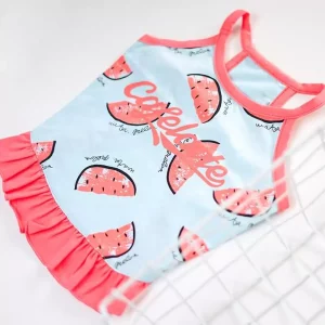 dachshund space watermelon soft dachshund tshirt