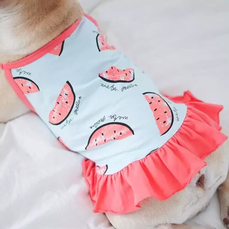 dachshund space watermelon soft dachshund tshirt