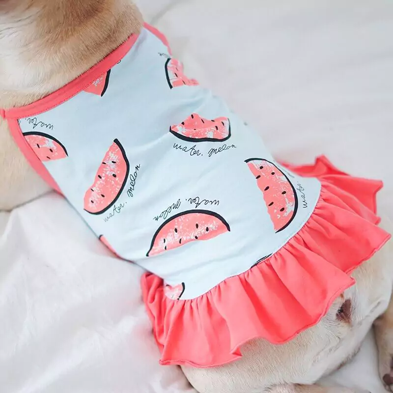 dachshund space watermelon soft dachshund tshirt