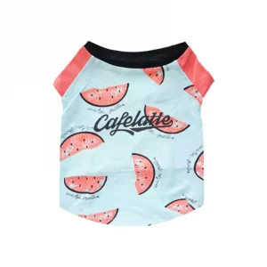 dachshund space watermelon soft dachshund tshirt