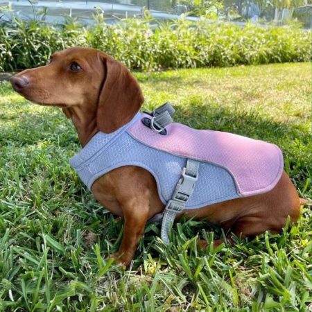 dachshund space heat resistant dachshund vest