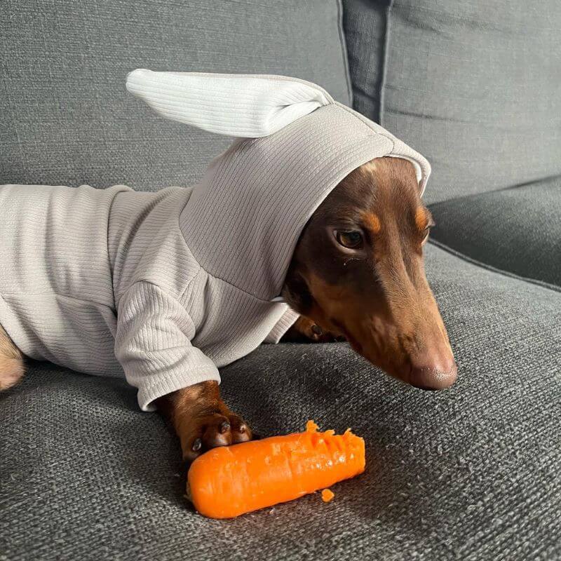 dachshund space dachshund rabbit hoodie