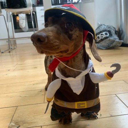 dachshund space pirate wiener dog costume