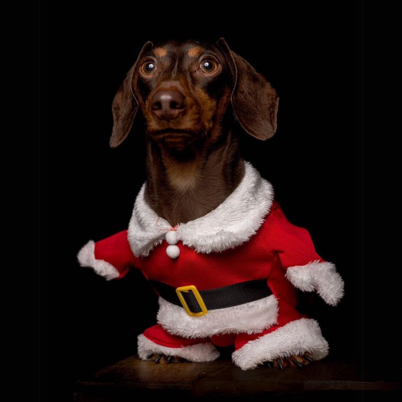 dachshund space shop christmas dachshund costume