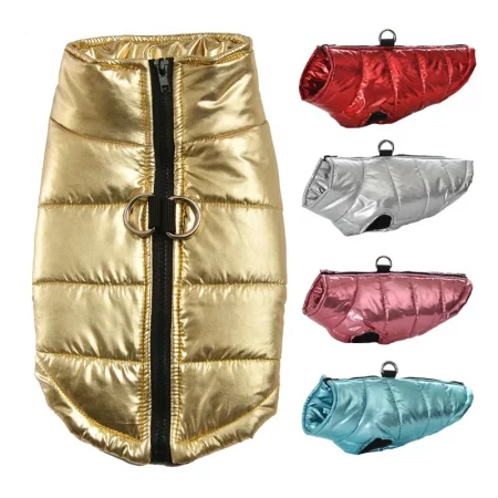 dachshund space gloossy waterproof dachshund jacket