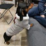 dachshund space ribbed velvet dachshund jacket