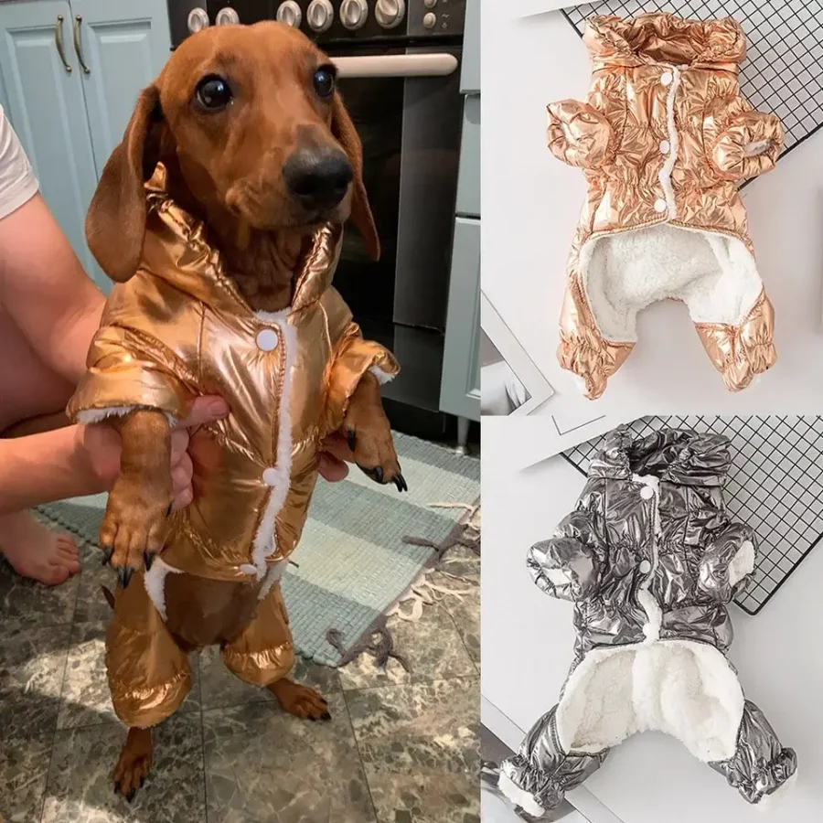 dachshund space shiny jumpsuit dachshund coat