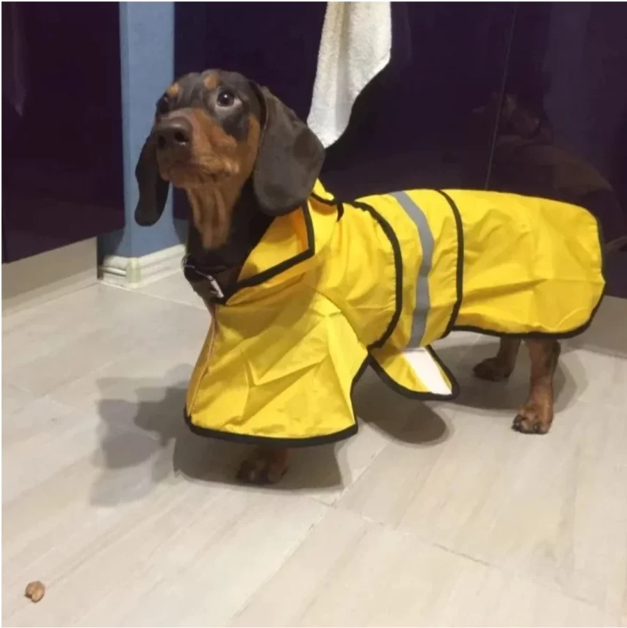 dachshund space spoty reflective dachshund raincoat