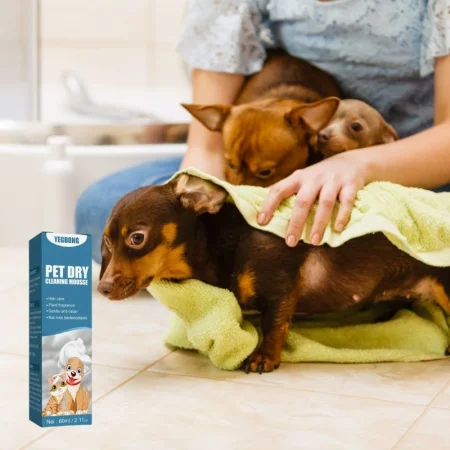 dachshund space dachshund dry shampoo