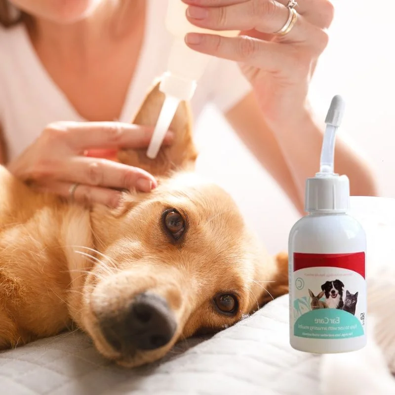 dachshund space dachshund ear cleaner