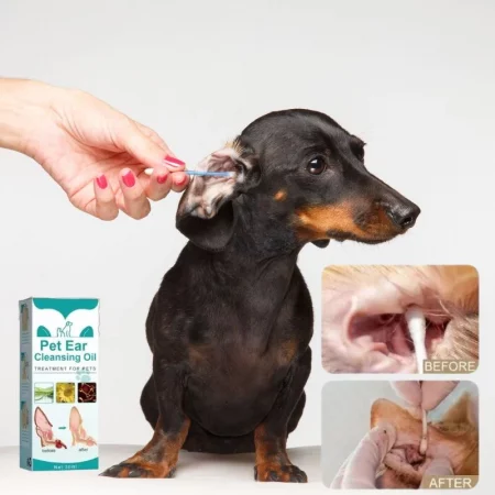dachshund space dachshund ear cleansing solution