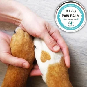 dachshund space natural dachshund paw balm