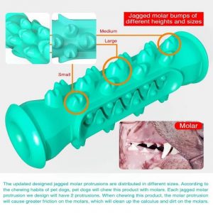 dachshund space shop bone toothbrush doxie toy