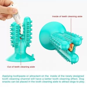 dachshund space shop dachshund toothbrush chew toy