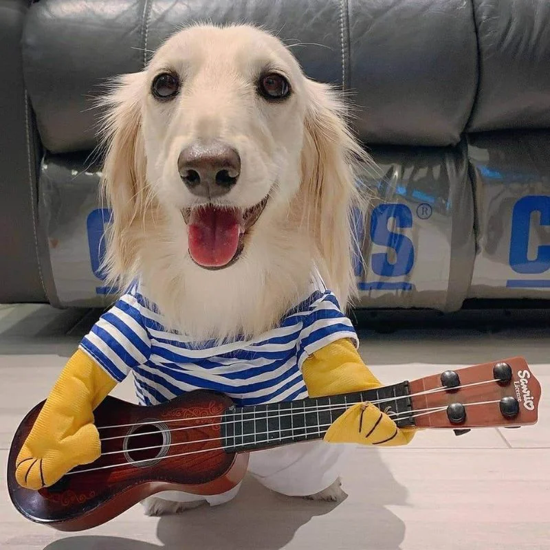 dachshund space shop guitar player dachshund costume