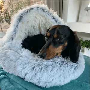 dachshund space shop fluffy dachshund cave bed