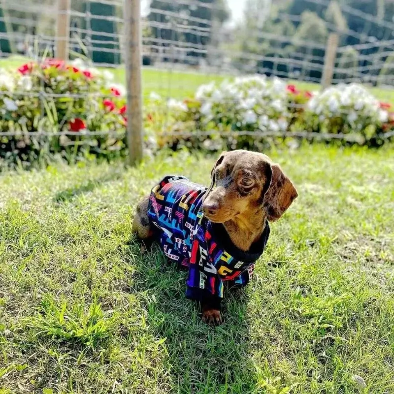 dachshund space shop fur baby multi color shirt size guide