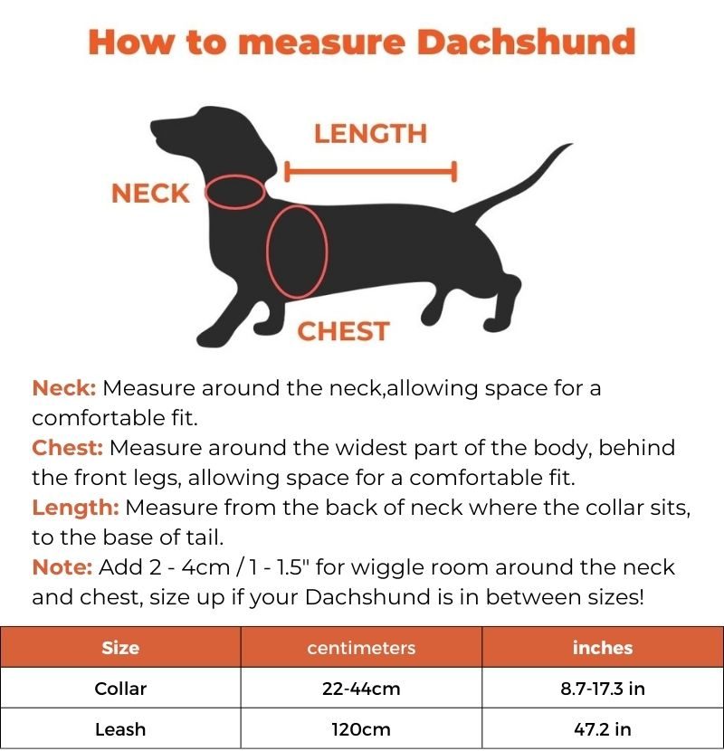dachshund space shop furendi collar leash