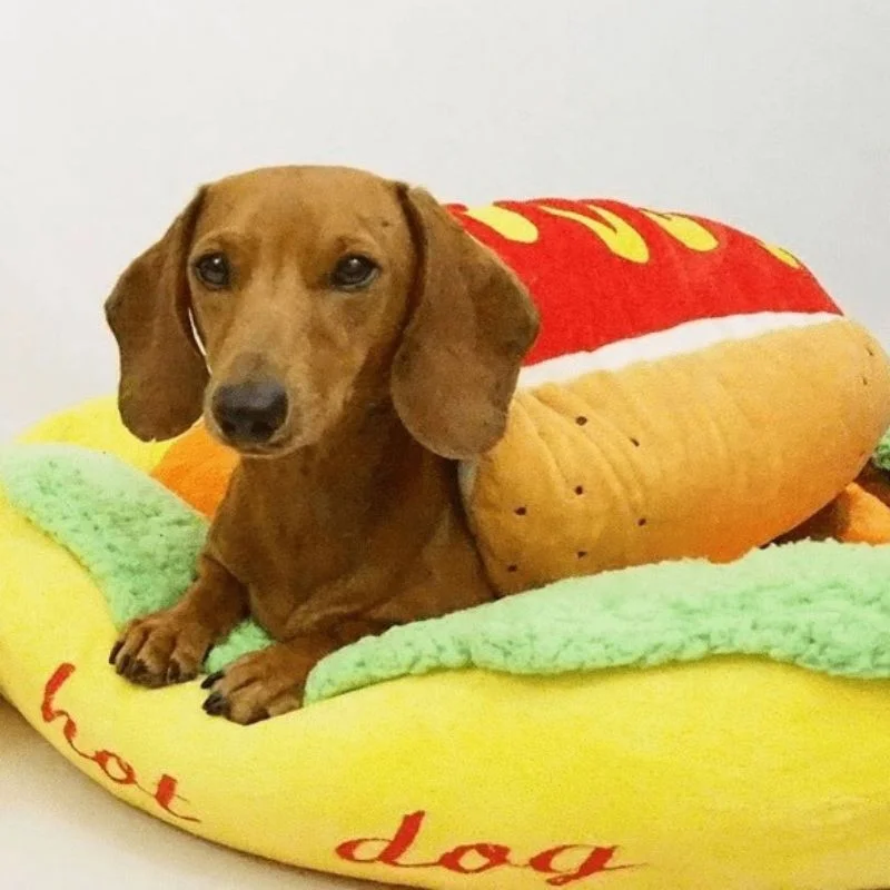 dachshund space shop hot dog dach bed
