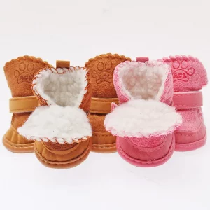 dachshund space shop snow walking dachshund shoes