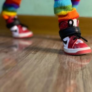dachshund space shop swoosh dachshund shoes