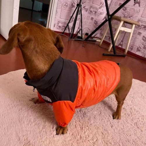 The Dog Face Puffer Jacket photo review