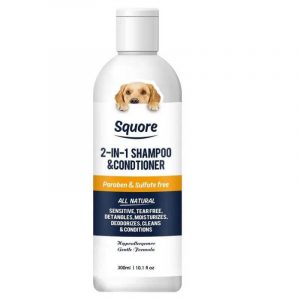 5 Things You Need to Know About Silky Wire-Haired Dachshunds