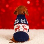 dachshund space christmas elk dachshund sweater