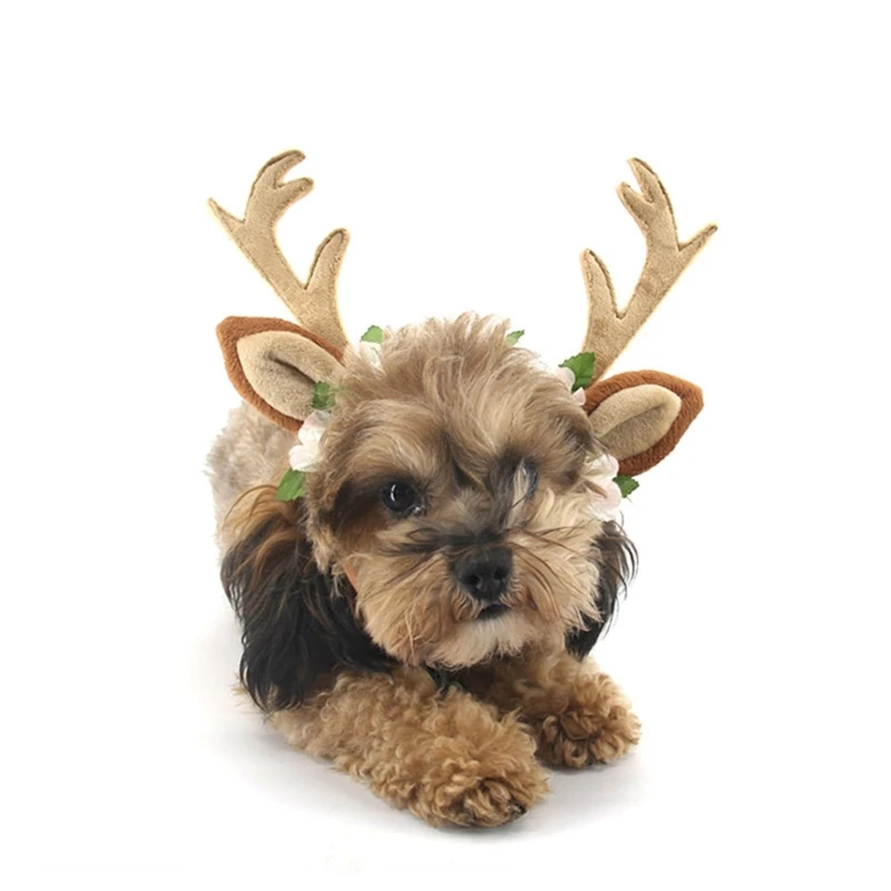 dachshund space shop dachshund christmas reindeer antlers
