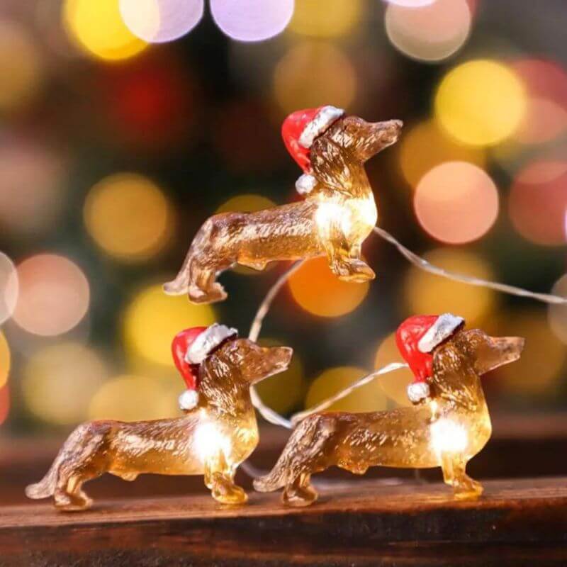 dachshund space shop dachshund christmas string lights